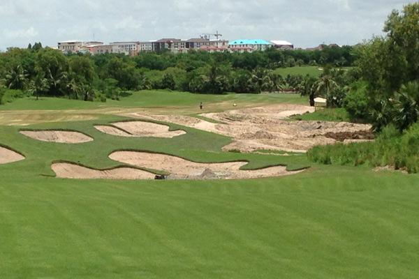 Golf course with ball near flag