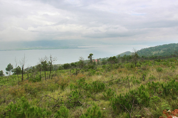 Câu lạc bộ Golf Dali Reignwood