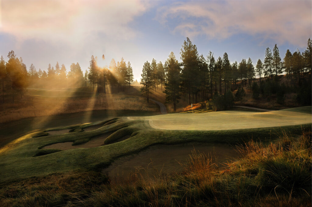 The Wilderness Club