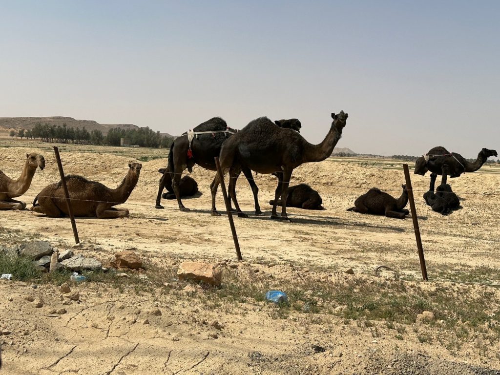Qiddiya City Golf Course